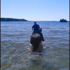 Meet your Posher, Sue